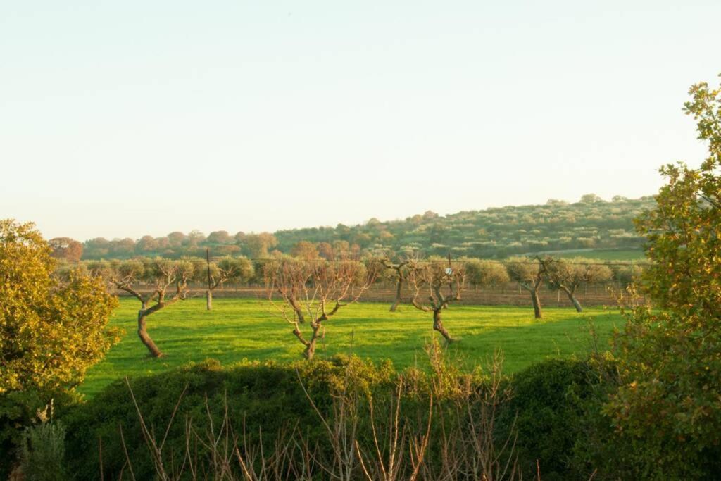 Il Pero Villa Monopoli Kültér fotó