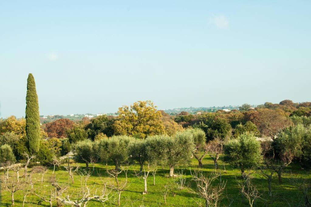 Il Pero Villa Monopoli Kültér fotó